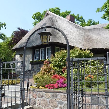 Landhaus Wilkens Baabe Dış mekan fotoğraf